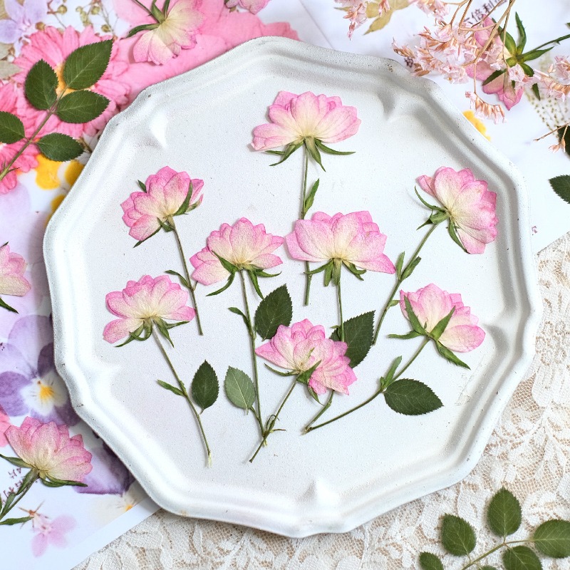 Flower Preservation Resin - 12pcs,Real Dried Pressed Flowers for Phone