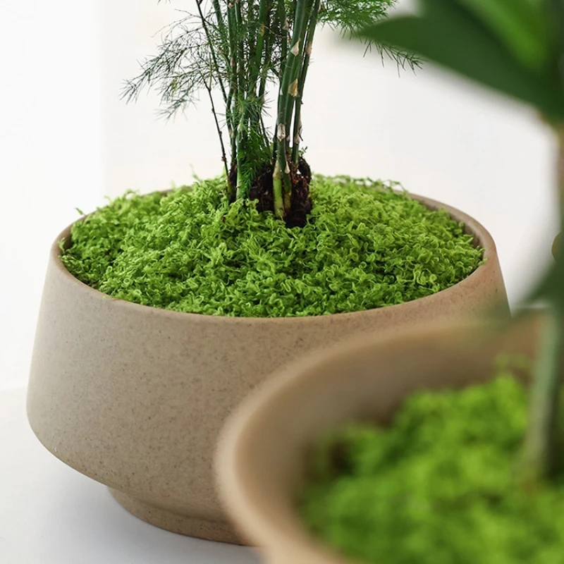 1Pc Artificial Moss Turf Fake  - Terrarium Moss Art 评论和价格