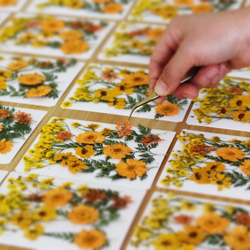 Real Natural Pressed Dried Pla - Flower Preservation Resin 评论和价格