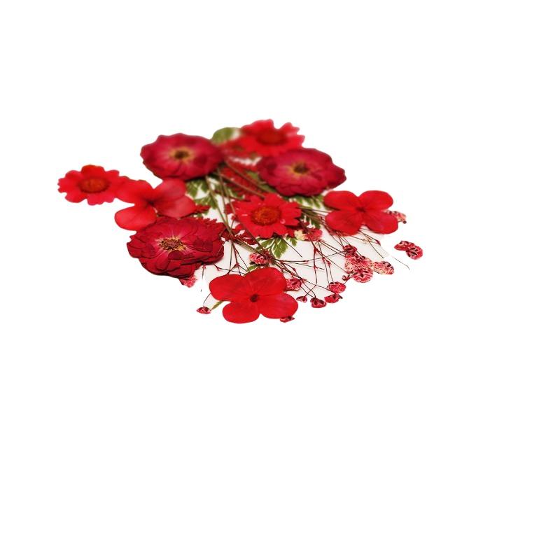 Real Natural Pressed Dried Pla - Flower Preservation Resin 评论和价格