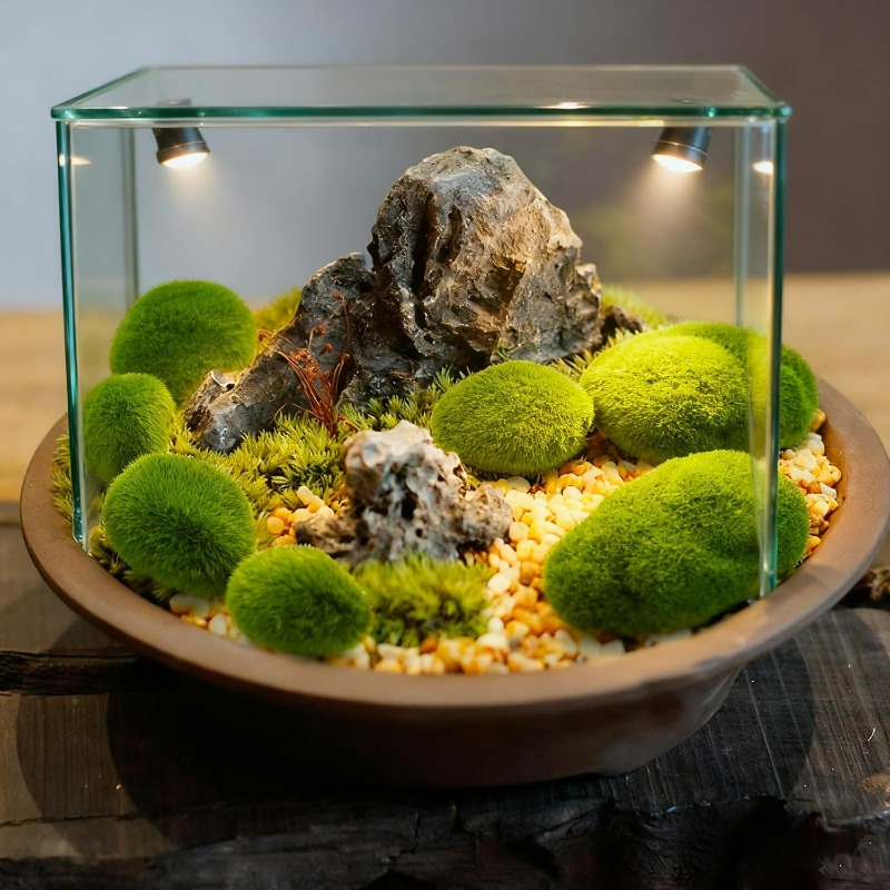 50/5PCS Artificial Foam Moss R - Terrarium Moss Art 评论和价格