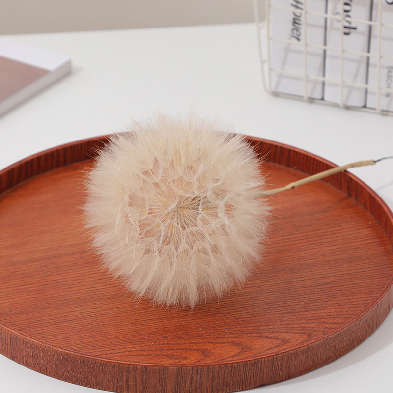 Preserved Dandelion DIY Epoxy  - Resin Crafts 评论和价格