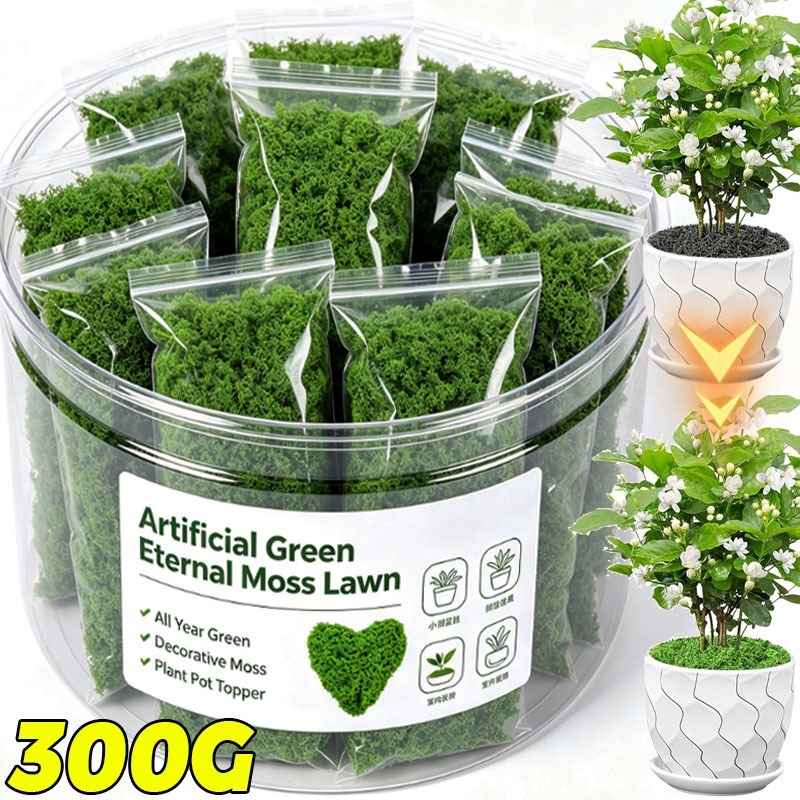 Artificial Green Plants Eterna - Terrarium Moss Art 评论和价格