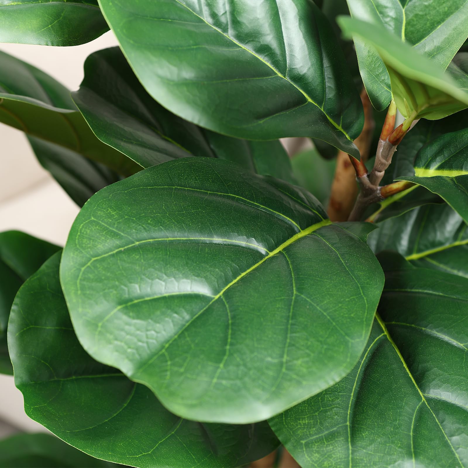 Artificial Fiddle Leaf Fig Tre - Terrarium Moss Art 评论和价格