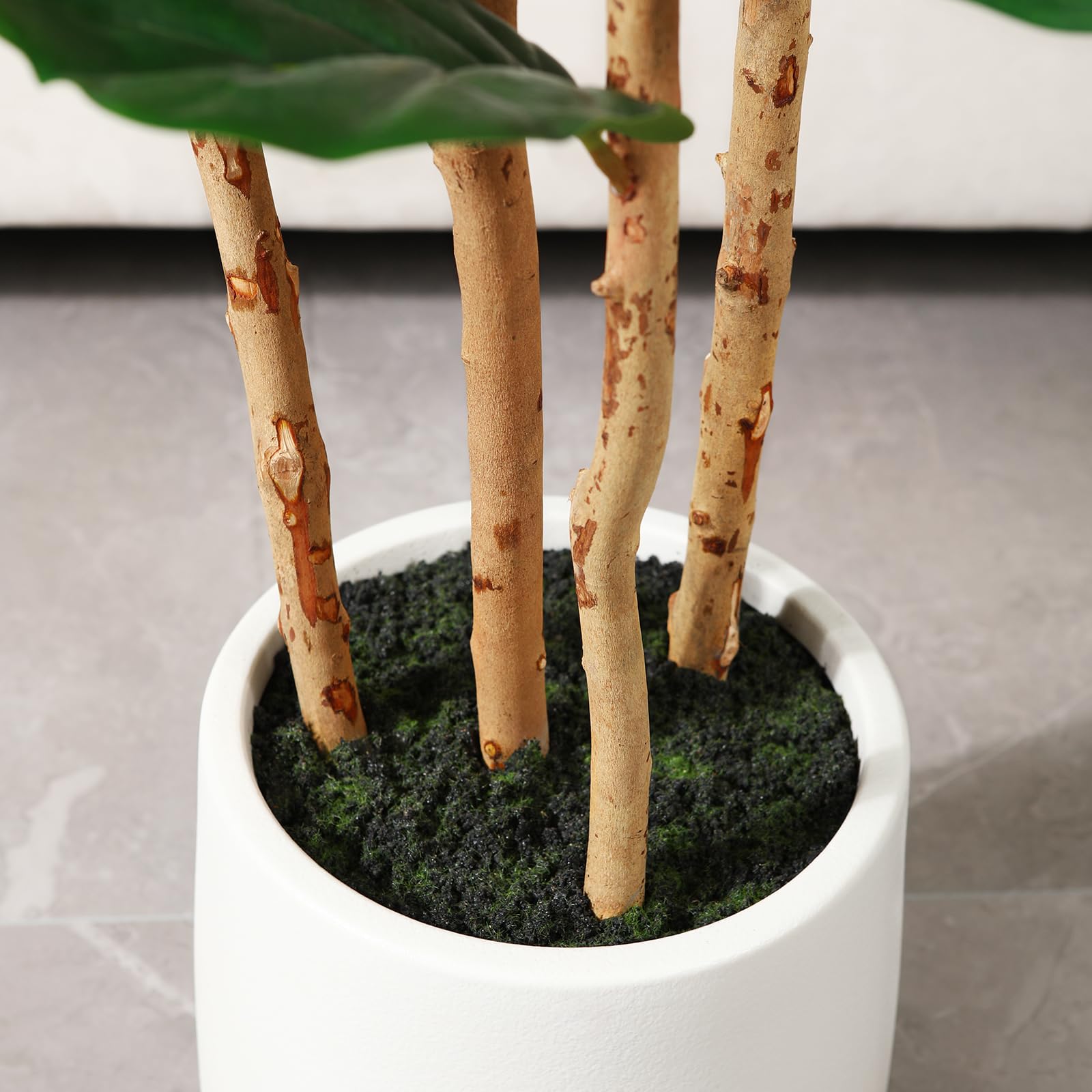 Artificial Fiddle Leaf Fig Tre - Terrarium Moss Art 评论和价格