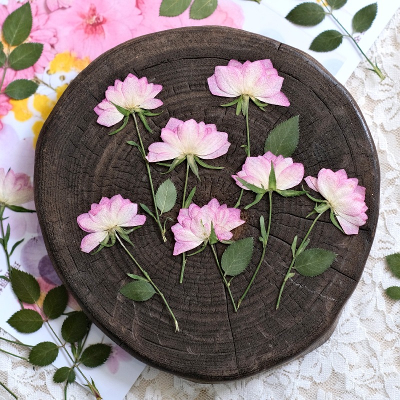 12pcs,Real Dried Pressed Flowe - Flower Preservation Resin 评论和价格