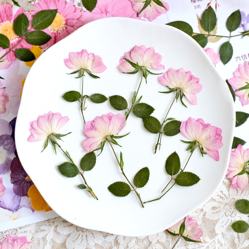 12pcs,Real Dried Pressed Flowe - Flower Preservation Resin 评论和价格