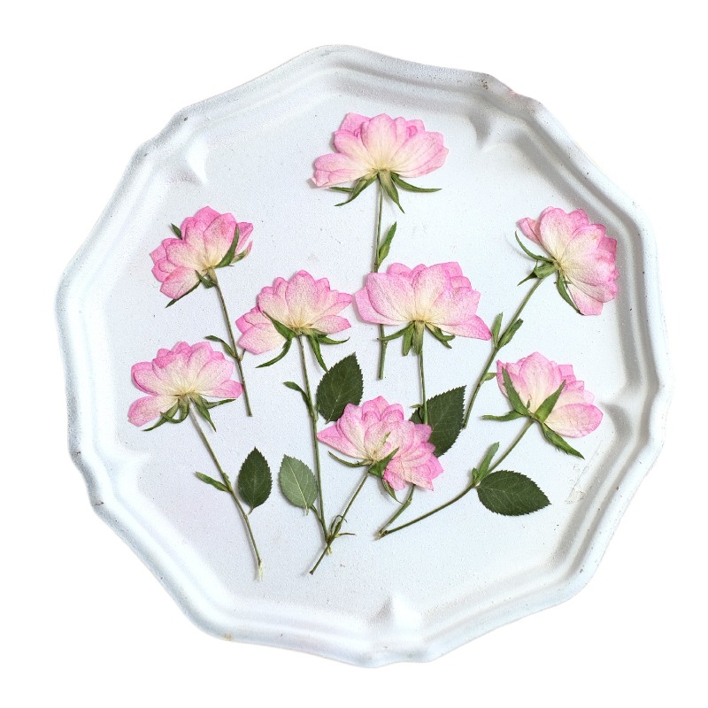 12pcs,Real Dried Pressed Flowe - Flower Preservation Resin 评论和价格